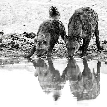 Jock Safari Lodge Skukuza Buitenkant foto