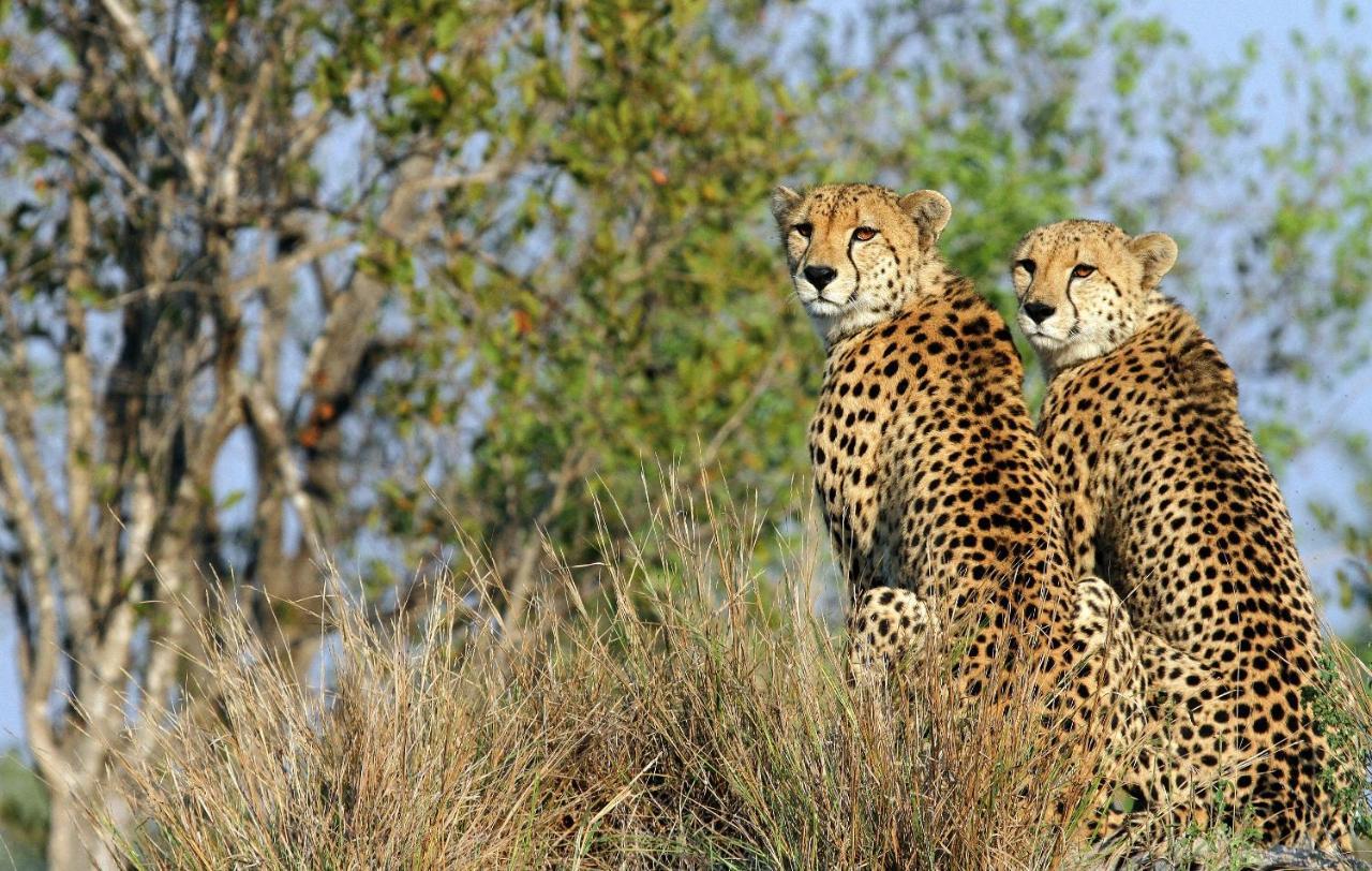 Jock Safari Lodge Skukuza Buitenkant foto