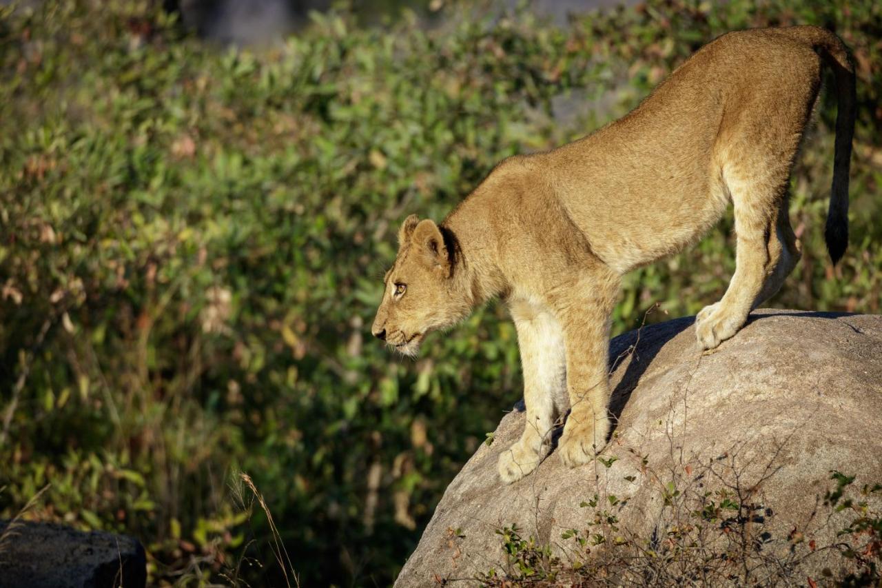 Jock Safari Lodge Skukuza Buitenkant foto